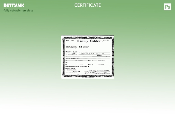 Модерен стил на САД Шаблон за потврда за брак од регистарот за граѓански бракови